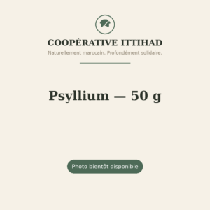 Psyllium (téguments de graines) — 50 g