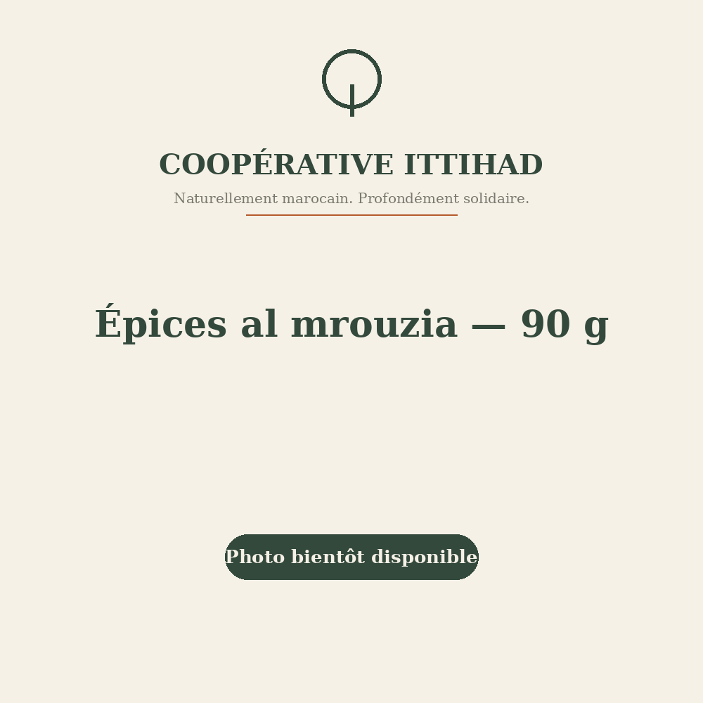 Épices al mrouzia — 90 g